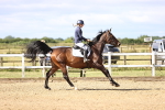 SBM_002785