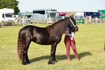 SBM_00902