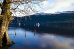 Loch Lomond - 3082