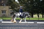 WJ5_9085