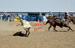 3HRodeo8-11-25_PRCASteer_05379_