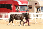 SBM_10921