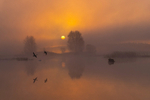 Sunrise at Lake Boora, County Offaly, Ireland.