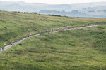 Tebay-41