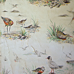 Sea Birds Wallpaper
