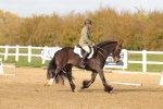SBM_000948