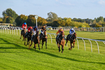 300926-Race 7-Prince Of Calypso-7032