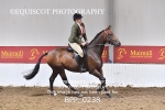 BPP_0238