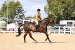 SBM_12924