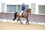 SBM_003451