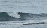 DSC_5321