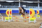 SBM_001617