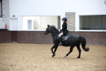 SBM_000915