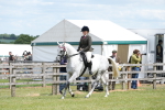 SBM_16174