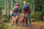 Glentress-2414
