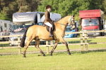 Class 73-74 - LIHS BSHA Open Style & Performance portfolio