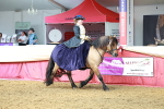 SBM_14756