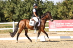 SBM_006804