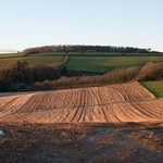 Autumn brown