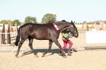 SBM_00179
