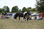 WJ6_5644