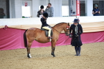 SBM_03065