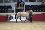 SBM_05066