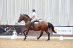 SBM_000854
