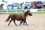 SBM_05952