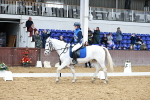 SBM_010164