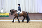 SBM_000798