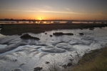 <center>Early Morning on the River</center><br>