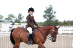 SBM_01453