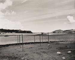 Landscapes portfolio