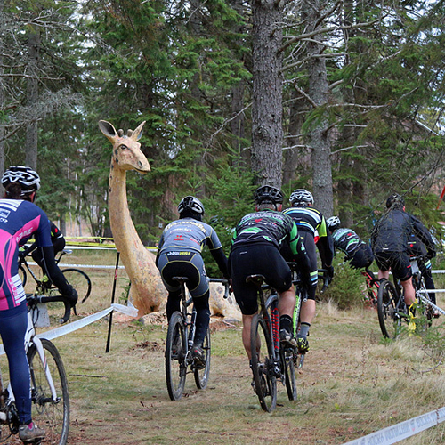 Cyclo Cross Weekend @ Animaland in Penobsquis, NB