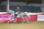 SBM_12487