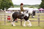 SBM_06083