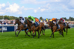 300826-Race 2-Jm Jungle-9684