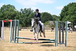 Class 13 Novice 60cm portfolio