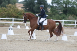 SBM_020408