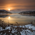 Calm Winter Dawn