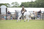 SBM_15889