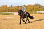 SBM_003290