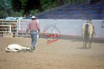 3HRodeo8-11-25_PRCASteer_07943_