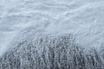 White Sea 1