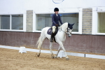 SBM_003419
