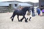 SBM_006410