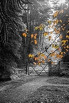 A Hint of Autumn