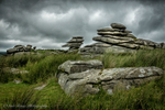 Stowes Hill Minions