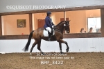 BPP_3422